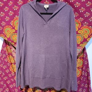 LAST CHANCE Like NEW Sioni Wool Athletic Sweater with Hood